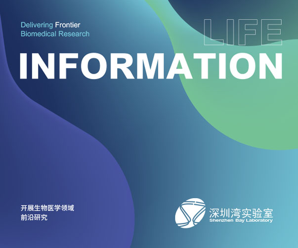 聘請上海專業(yè)Logo設計公司的五大好處
