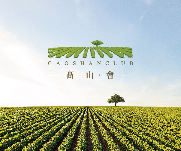 為什么江蘇地區的客戶喜歡找上海vi設計公司合作？